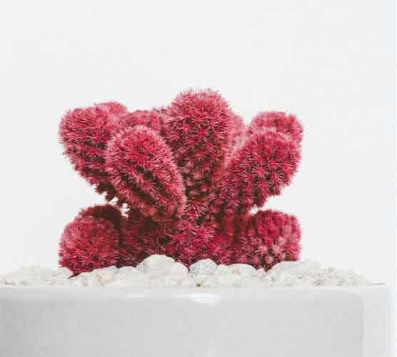 网络ddos攻击软件