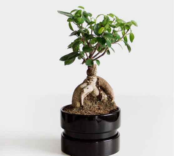 网络ddos攻击软件