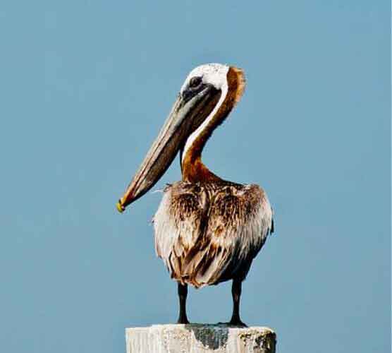 免费cc攻击测试